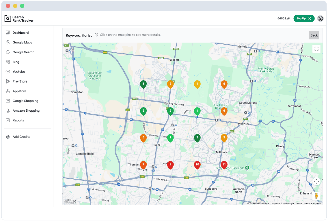 local-rank-tracker-app-ui-screenshot